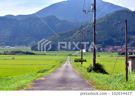 Country Road Yamaguchi Country Road Yamaguchi 102654427