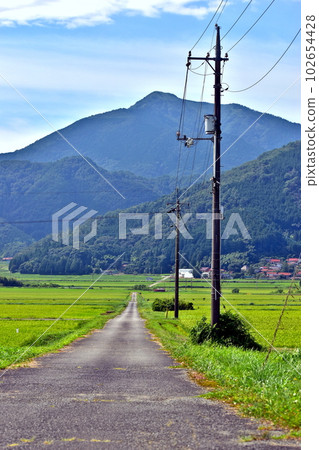 Country Road Yamaguchi Country Road Yamaguchi 102654428