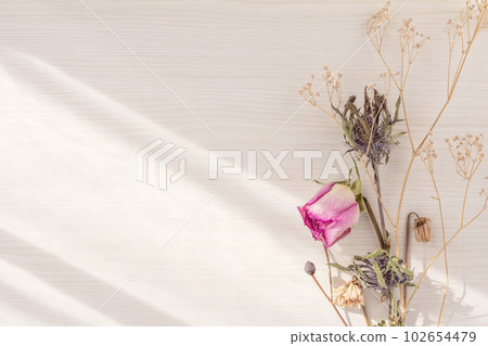 Shaded wood background with dried flower decoration 102654479