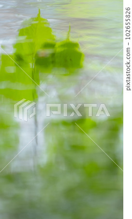 新綠、清流、倒映在水面上的生態形象（札幌市） 102655826