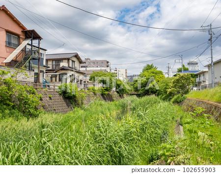 千葉縣松戶市五月的坂川被綠意盎然覆蓋 千葉縣松戶市五月的坂川被綠意盎然覆蓋 102655903