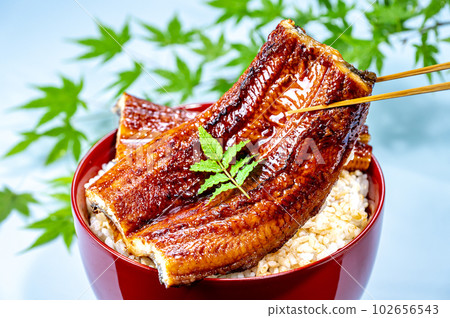 Eel bowl, eel kabayaki, eel 102656543