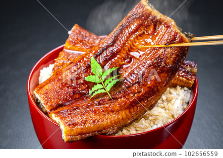Eel bowl, eel kabayaki, eel Eel bowl, eel kabayaki, eel 102656559