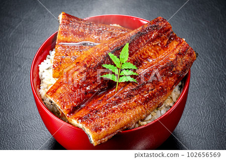Eel bowl, eel kabayaki, eel 102656569