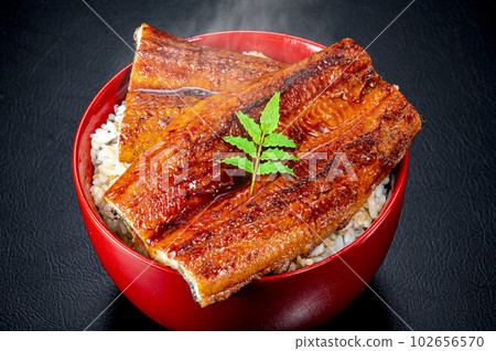 Eel bowl, eel kabayaki, eel 102656570