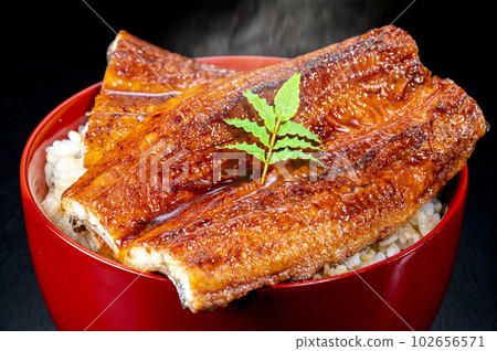 Eel bowl, eel kabayaki, eel 102656571