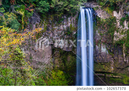 Autumn leaves of Gorogataki Falls [Yamato-cho, Kamimashiki-gun, Kumamoto Prefecture] 102657378