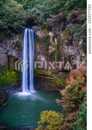 Autumn leaves of Gorogataki Falls [Yamato-cho, Kamimashiki-gun, Kumamoto Prefecture] 102657393