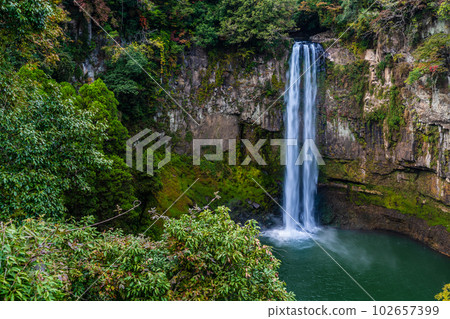Autumn leaves of Gorogataki Falls [Yamato-cho, Kamimashiki-gun, Kumamoto Prefecture] 102657399