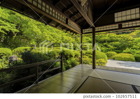 京都府京都市Shisendo Jozanji Temple，初夏風景，新鮮的綠色花園 102657511