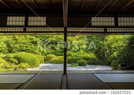 Shisendo Jozanji Temple, early summer scenery, fresh green garden, Kyoto City, Kyoto Prefecture Shisendo Jozanji Temple, early summer scenery, fresh green garden, Kyoto City, Kyoto Prefecture 102657525