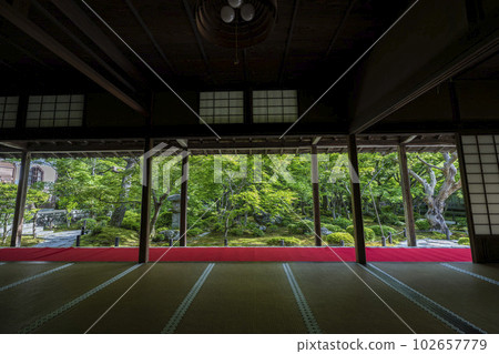 Scenery of Enkoji Temple The fresh green garden seen from the study room Kyoto City, Kyoto Prefecture 102657779