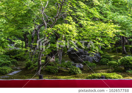 Scenery of Enkoji Temple The fresh green garden seen from the study room Kyoto City, Kyoto Prefecture 102657788