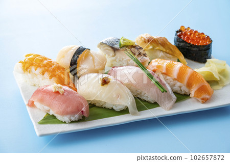 Nigiri 壽司放在盤子裡 Nigiri 壽司放在盤子裡 102657872
