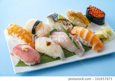 Nigiri 壽司放在盤子裡 102657873