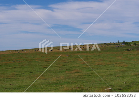 Utsukushigahara Ranch in Utsukushigahara Highlands 102658358