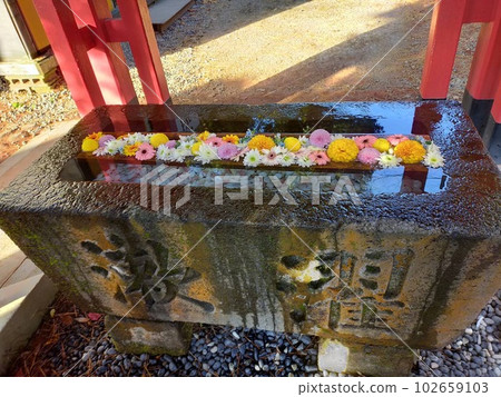 Kanazawa 102659103