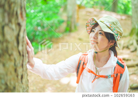 A woman who enjoys climbing while touching a big tree and feeling nature 102659163