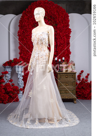 Bride wedding dress vintage style in studio 102659166