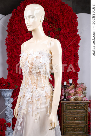 Bride wedding dress vintage style in studio 102659168