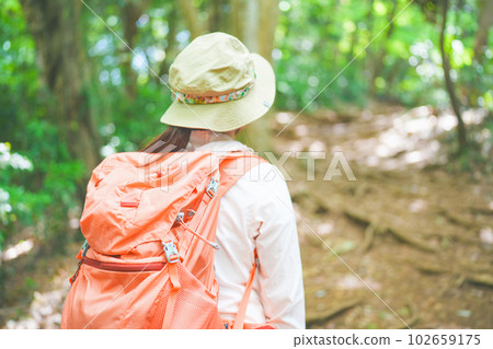 Rear view of a woman climbing a mountain with a backpack 102659175