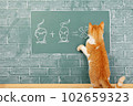Cat school 102659323