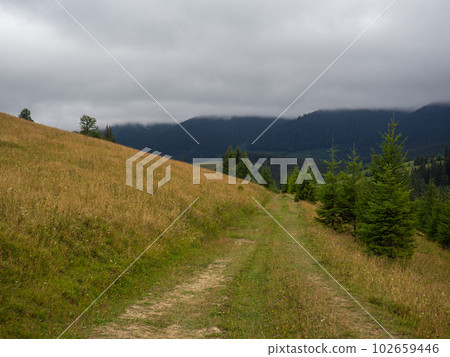 Road in the mountains Road in the mountains 102659446