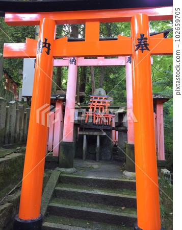 鳥居 鳥居 102659705