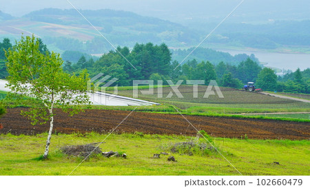 嬬戀村 初夏田園風光,霧濛濛 嬬戀村 初夏田園風光,霧濛濛 102660479