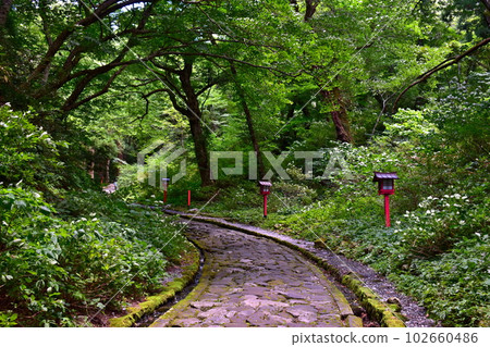 大山寺鳥取 大山寺鳥取 102660486