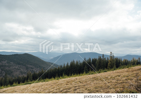 Carpathians. Ukraine. Mountain landscape. Winter Carpathians 2023 without snow 102661432