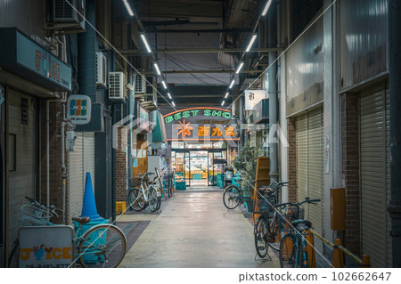 西九條站高架下隧道橫丁OK第18大道（大阪市木之花區西九條） 102662647