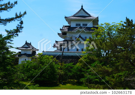 伊賀上野城堡和藍天 伊賀上野城堡和藍天 102663178