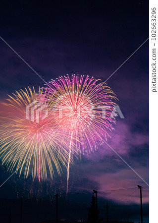 Fireworks Fireworks 102663296