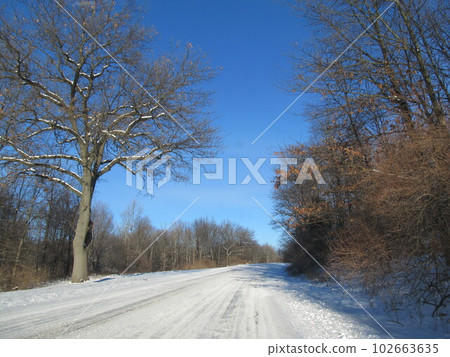 雪道 102663635