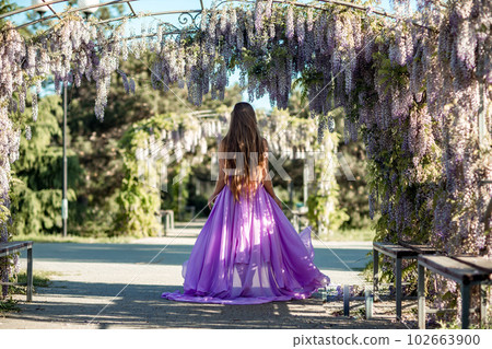 Woman wisteria lilac dress. Thoughtful happy mature woman in purple dress surrounded by chinese wisteria 102663900
