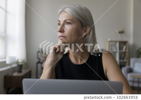 Serious middle aged business woman working at laptop at home Serious middle aged business woman working at laptop at home 102663958