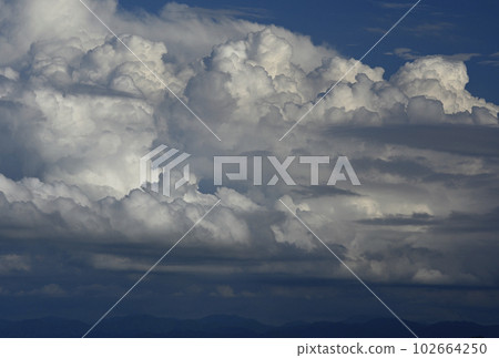 夏日的仲海 102664250