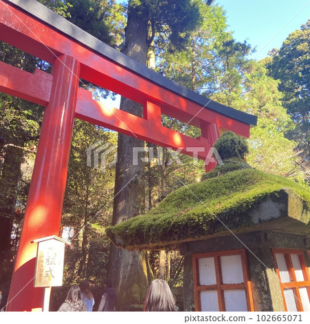 Shinto shrine torii and blue sky Shinto shrine torii and blue sky 102665071