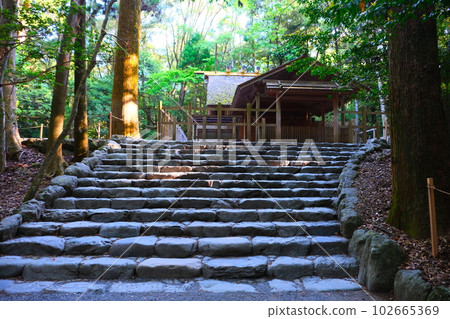 新綠中的伊勢神宮 Inner Shrine Aramatsuri Shrine 新綠中的伊勢神宮 Inner Shrine Aramatsuri Shrine 102665369