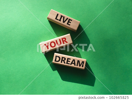 Live your Dream symbol. Wooden blocks with words Live your Dream. Beautiful green background. Business and Live your Dream concept. Copy space. Live your Dream symbol. Wooden blocks with words Live your Dream. Beautiful green background. Business and Live your Dream concept. Copy space. 102665825