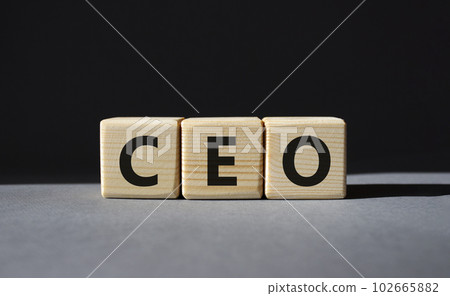 CEO - hief executive officer symbol. Concept word CEO on wooden cubes. Beautiful grey background. Business and CEO concept. Copy space. CEO - hief executive officer symbol. Concept word CEO on wooden cubes. Beautiful grey background. Business and CEO concept. Copy space. 102665882