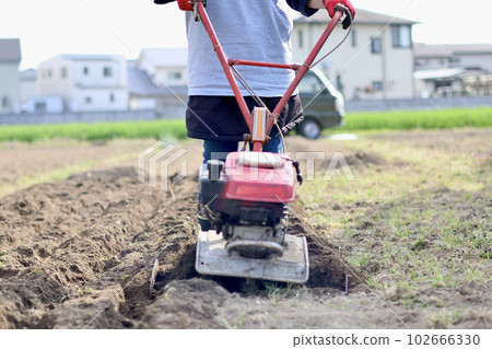 A woman growing vegetables in her home garden, a female farmer, a woman plowing a field with a cultivator 102666330