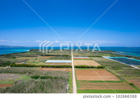 [Okinawa, Tsuken Island, Aerial Photography] Aerial photography of Tsuken Island and the carrot field and the blue sea ② 102666388