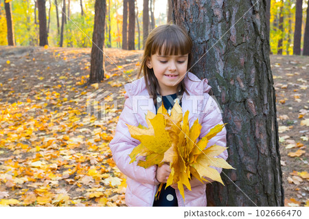 Autumn outdoor portrait of girl with yellow maple leaves, park background at golden hour 102666470
