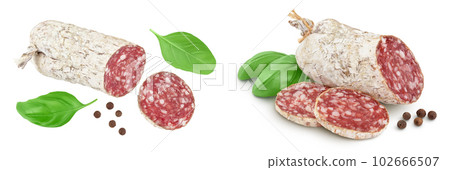 Cured salami sausage isolated on white background. Italian cuisine with full depth of field. Top view. Flat lay 102666507
