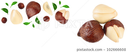 Salak snake fruit isolated on white background with full depth of field. Top view with copy space for your text. Flat lay. Salak snake fruit isolated on white background with full depth of field. Top view with copy space for your text. Flat lay. 102666608