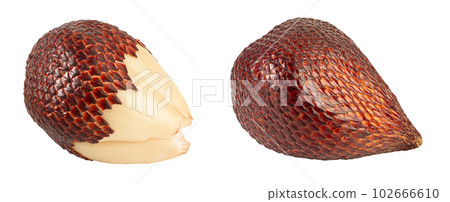Salak snake fruit isolated on white background with full depth of field 102666610