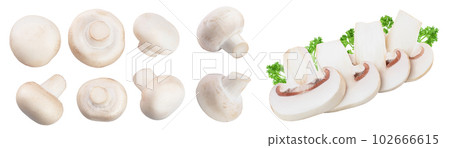 Fresh mushroom champignon isolated on white background . Top view. Flat lay. 102666615