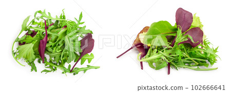 Mix of different salads isolated on white background. Top view. Flat lay Mix of different salads isolated on white background. Top view. Flat lay 102666641